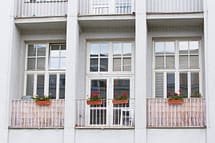 Sázení muškátů, B2 Neurologie, stanice A Sázení muškátů, B2 Neurologie, stanice A