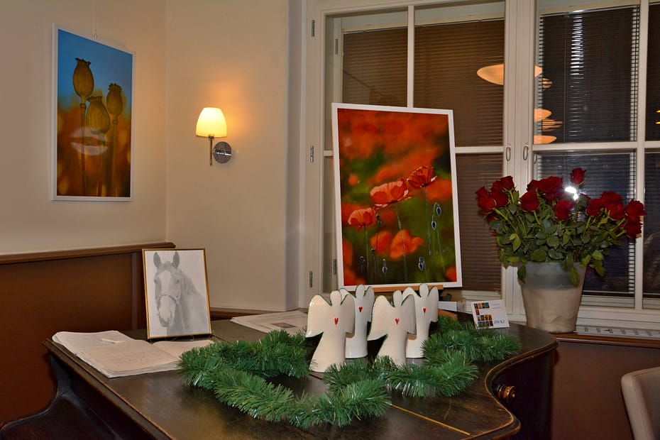 Poděkování dobrovolníkům 2025 titulní